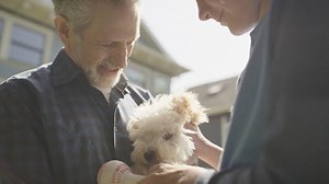 SanDisk Ultra 32GB SDHC Memory Card, Up to 120 MB/s, Class 10, UHS-I, V10, 3 packs