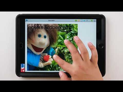 Niki Diary - Kurzanleitung