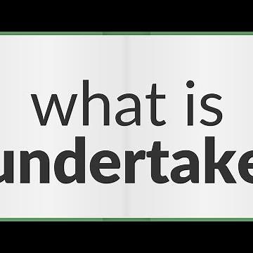 Undertake | meaning of Undertake