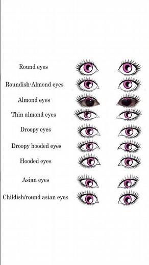 Different Eye Shapes: A Comprehensive Guide#eyeshape #eyetypes #anatomy #eyes