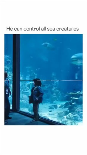 movies_hub4me on Instagram: "Imagine having the power to control sea creatures. “Aquaman” is a superhero film that premiered in 2018, based on the DC Comics character of the same name. The movie is directed by James Wan, and stars Jason Momoa, Amber Heard, and Patrick Wilson. The film tells the epic story of Arthur Curry, a half-human, half-Atlantean who becomes the king of the underwater kingdom of Atlantis. As Arthur navigates the challenges of his job as a hero and his personal life, the film