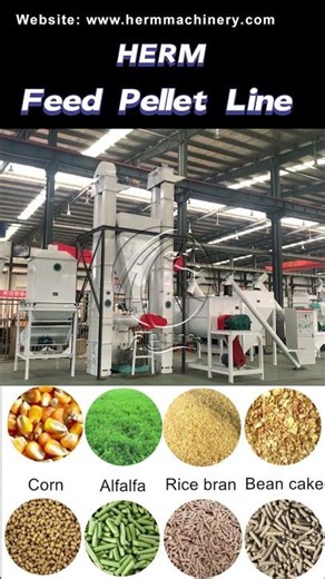 Build or Upgrade Your Feed Mill with This 3-4T/H Turnkey Line! #feedmill #feedpelletmills