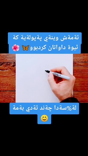 Step-by-Step Butterfly Drawing Tutorial