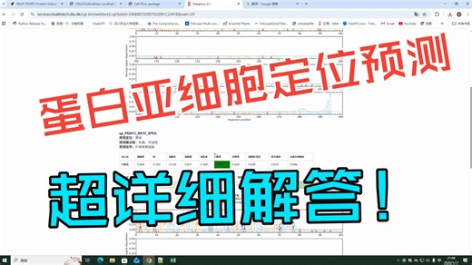 蛋白质亚细胞定位预测（超详细解答）