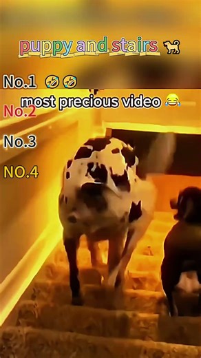 #illustration #tattoo #art #pov #procreate #drawing #whydidntmyexcomeback #digitalart