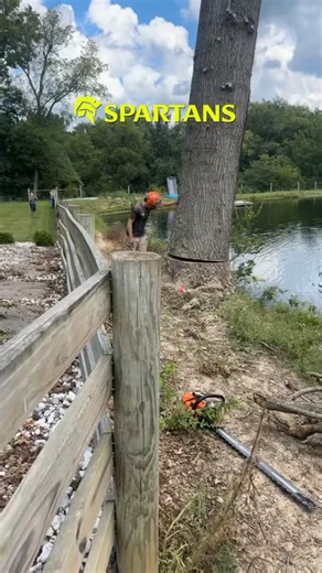 @asw.rep on Instagram: "Sponsored by @spartans #spartans"