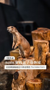 就在 Austin 工厂区的 The Hidden Farm ，近距离接触草泥马等超过30种动物的隐藏亲子农场🐿️🐹🐒。有「互动区🐰」、「鸟禽区🦜」、「爬行动物区🐍」，都能在工作人员陪同下，来一场近距离的亲密互动✨。在室内空间，不用担心日晒雨淋，爸爸妈妈快点小朋友来玩耍吧！ - 门票售价✨： 周一至周五 - RM38 (成人) ｜RM25 (12岁以下) 周六至周日或公共假日- RM48 (成人) ｜ RM30 (12岁以下） - Address: 2, Jalan Mutiara Emas 5/1, Taman Mount Austin, 81100 Johor Bahru, Johor. Hours: 11am - 7:30pm (Mon-Fri) ，10am - 7:30pm (Sat-Sun) | 新山生活誌 / JB City Guide