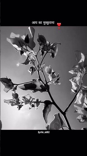 apni aavaj me pade #lyrics_whatsapp_status #trendingshorts #lyricsstatus #oldsong