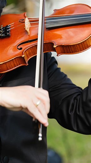 From the first step down the aisle to the final toast, our music carries your celebration with enduring beauty. 🎻💕 #weddinginspo #weddinginspiration #weddingplanning #wedding #weddingday #weddingvenue #weddingideas #engaged #bride #bridetobe #sunsetstrings #violinist #livemusic #floridawedding #weddingmusic #ceremonymusic #stringquartet #violin #modernviolin #elegantwedding #romanticwedding @sunsetstringsmusic 📸: @limelightphotos - Limelight Photography 📍: @rustypelicantampa - Rusty Pelican 