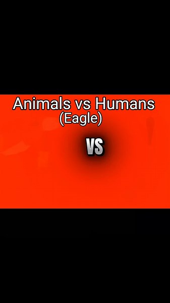 Eagle vs Human: A Clash in Nature