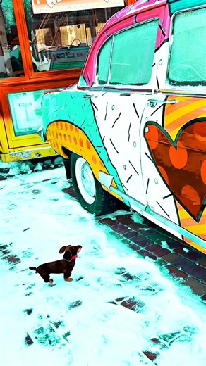 Funny Animal Moments You Can't Miss