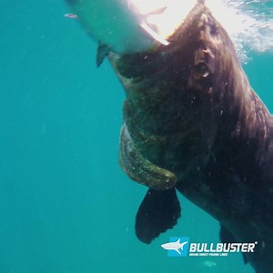 1.1K reactions · 596 shares | Brace yourself after this take! | Bullbuster | Facebook