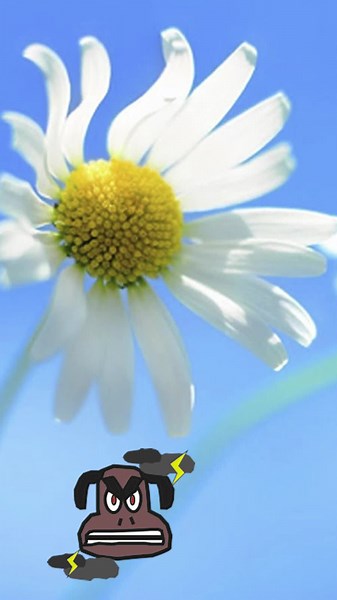 Windows Expert op TikTok