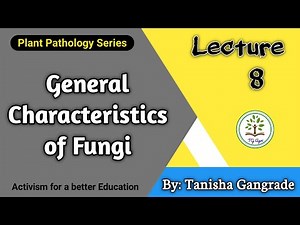 General Characteristics of Fungi | Introduction of Mycology by Tanisha Gangrade