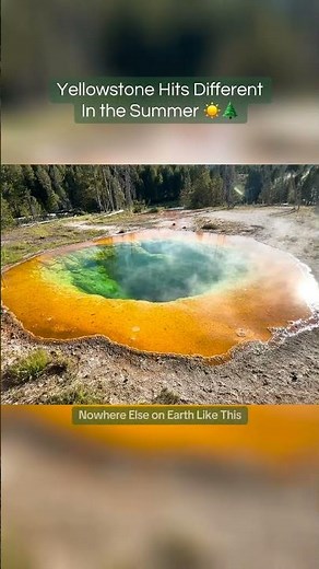 😎Yellowstone Summer 2026: Don’t Miss America’s Wildest Trip🌲#yellowstone #2026 #summer #wildlife