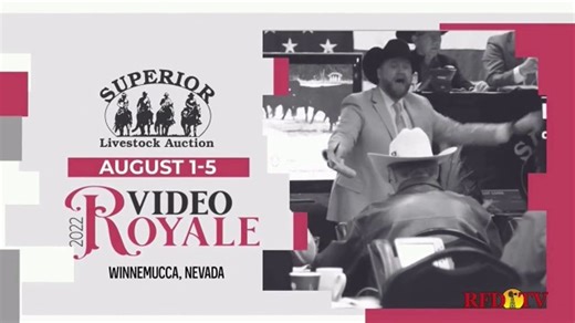 Superior Livestock Auction TV Spot, '2022 Video Royale Summer Sales Series'