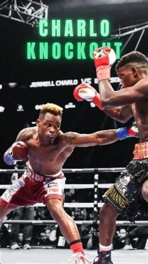 🥊 Jermell Charlo BRUTAL KO of Erickson Lubin! #knockout #boxing