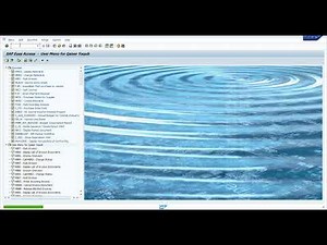 Workflow Error in Direct Invoice code FV60 in SAP MM