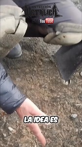 Roberto explica cómo encontrar oro en la playa: hay que cavar hasta la circa, la parte consolidada. El oro, por su peso, se deposita ahí. ¡A probar suerte con el detector de metales! #Oro #Playa #DetectorDeMetales #Aventura #BusquedaDeTesoros | Detección Metálica