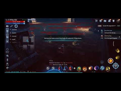 mir4 request: Unlucky Day (find damage baggage)