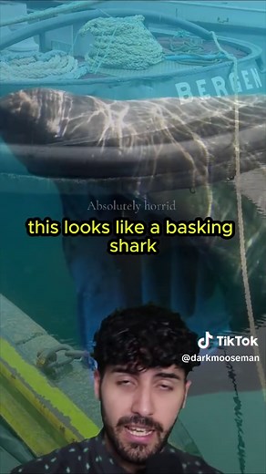 A Creepy Encounter in the Ocean