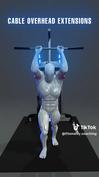 Effective Tricep Workouts for Stronger Arms