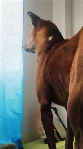 ,❤️❤️❤️❤️