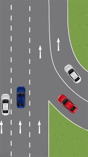 Proper Lane Change Using Indicator Light