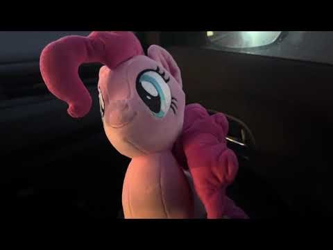 Elinor and Friends At Route NY-101 End Sign Flower Hill NY Episode 4316