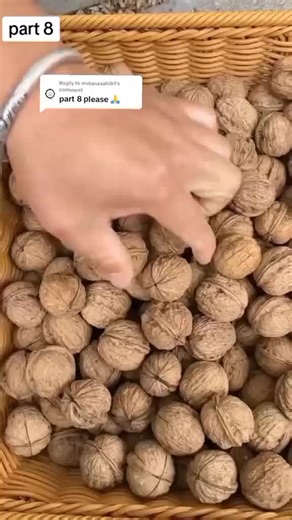 Exploring Everyday Actions: Walnuts to Winter Driving