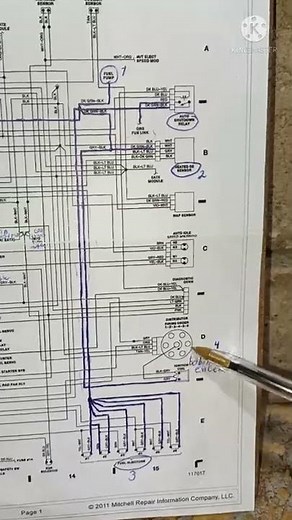 RELEVADOR ASD: QUE ALIMENTA?