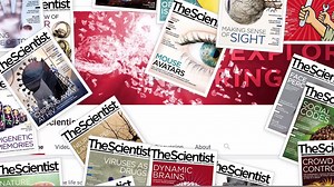 8.1K views · 33 reactions | Beyond the pages of The Scientist magazine, research comes alive. Subscribe and share: https://www.youtube.com/user/TheScientistLLC | The Scientist | Facebook