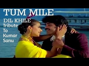 Tum Mile Dil Khile Full Song Extended Virsion In The Description Kumar Sanu Songs Love Muzik