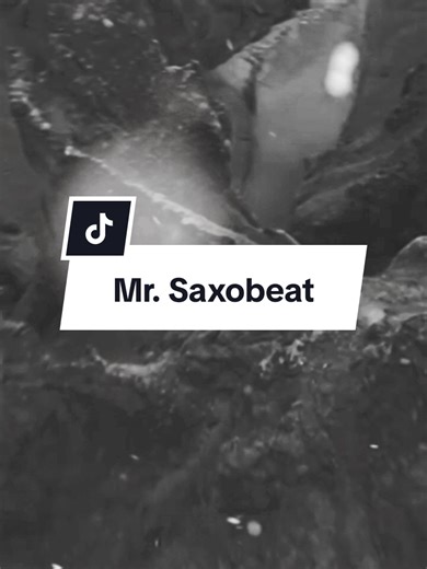 Mr. Saxobeat | #song#fyp#slowed#edit#lyrics_songs