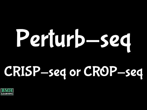Perturb-seq | CRISP-seq | CROP-seq | Perturb Seq Analysis |