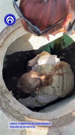 ¡Qué perrón! 🐶 Rescatan a Teddy tras pasar MÁS DE UN MES atrapada en una alcantarilla