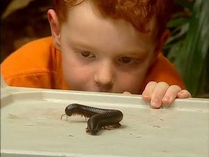 Opening to This is Daniel Cook at the Zoo (2006) DVD (Canada)