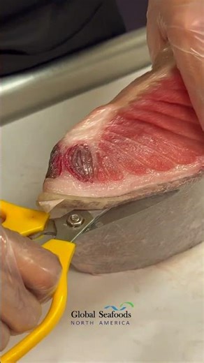 Cutting Bluefin Tuna for Sashimi | Pro Tips & Chef Secrets with Joshua Roshan