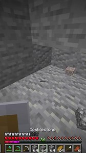 A New Member on my School's Minecraft SMP #Minecraft #foryou | Parrotx2