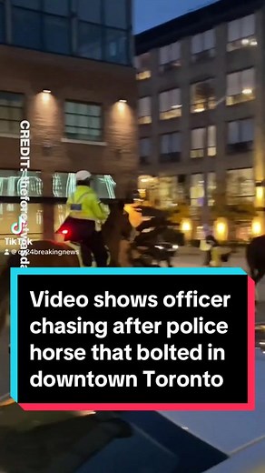 A Toronto cop was forced to chase after their police horse after the animal bucked them off in the downtown core on Halloween night. In a video shared to TikTok earlier this week, since viewed over 70,000 times, two police horses can be seen trotting down Snooker Street in Liberty Village at around 6:30 p.m. on Oct. 31, but only one of them had an officer in the saddle. Seconds later, a second police officer can be seen jogging after one of the horses. Toronto police confirmed to CTV News Toront