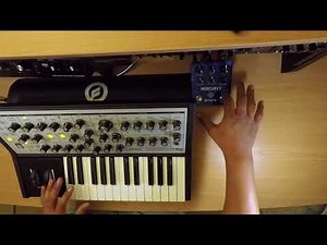 Moog Sub Phatty  Meris Mercury7, New Favorite Reverb!