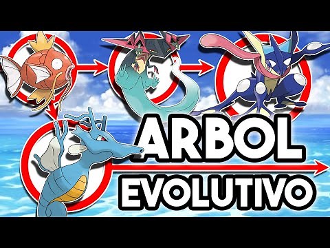 La EVOLUCIÓN de los POKÉMON PECES Y ANFIBIOS (y otros)