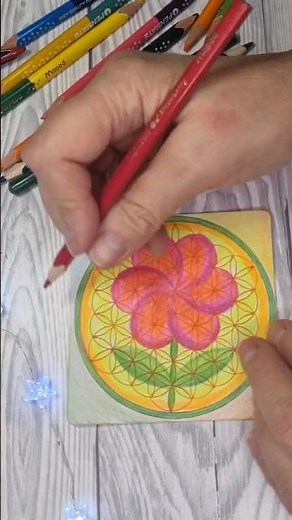 Flower of Life Unfolding • Relaxing Sacred Geometry Timelapse #shorts