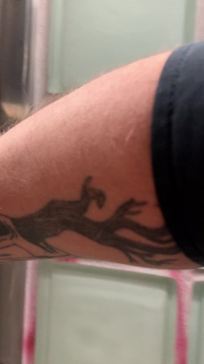 Aladdin! 0.- #beatbox #beatboxer #beatboxing #freestyle #dubstep #house #dnb #drumandbassmusic #drumandbassfather #alien #psycho #psychonaut #cool #woah #wow #omg #nice #nicejob #bbx #beatboxtiktok #rave #raver #ravetiktok #lasers #zer0 #love #music #mix #dj #hiphop #rap #rapper #edm #swag #riddim #bass #fypシ゚viral #fypage #fyppppppppppppppppppppppp