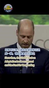 🤝 全球团结 | 完整演讲：威廉王子在巴西COP30上的强有力发言