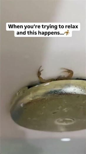 Fear Factor Friday! Forbidden Bath Bomb.
