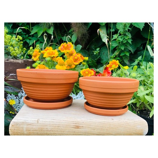 Terracota:clay Plant Pots/small. - Etsy UK