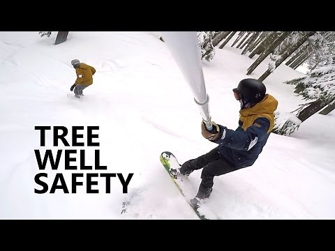 Tree Riding + Tree Well Safety