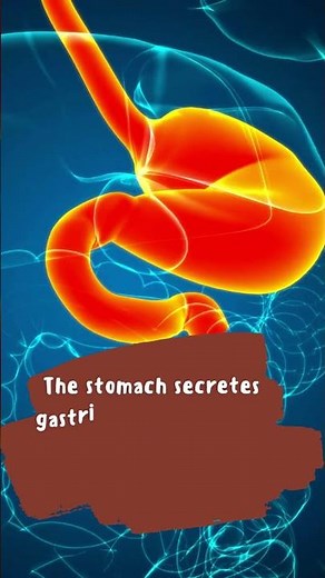 Flash Facts About The Human Gut System (Gastric Juice)