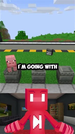 Minecraft observers guess the gray mob challenge